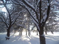 VFL.RU - ваш фотохостинг