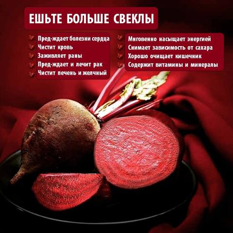 Кулинарная инфографика
