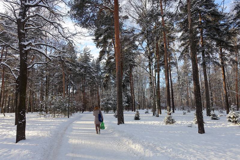 Парк Сосновка Парк Сосновка