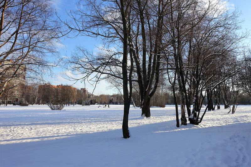 Сад Бенуа Сад Бенуа