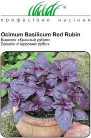 Базилік Червоний рубін