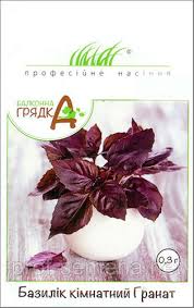 Базилік кімнатний Гранат