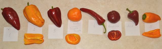 Чайная беседка