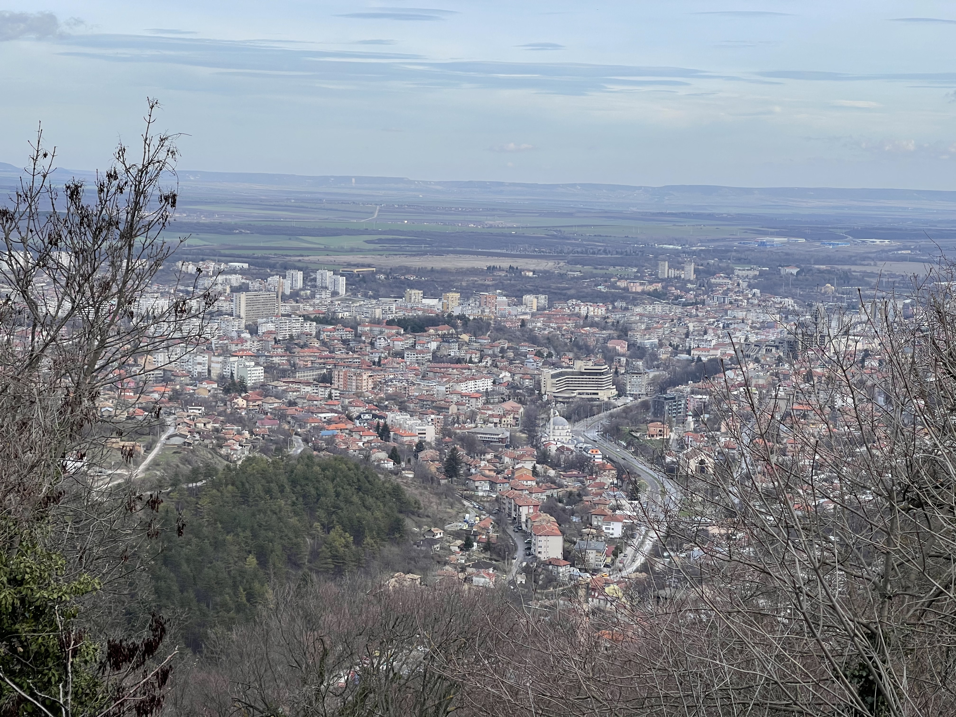 Photo 23.01.21, 12 26 22