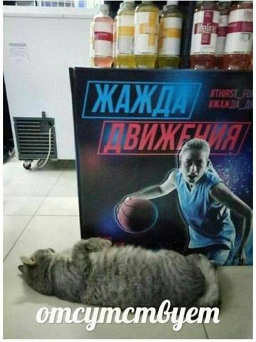 Tapтaлeтки & Ко