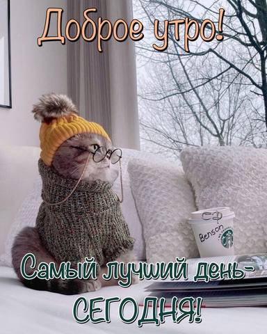 Tapтaлeтки & Ко