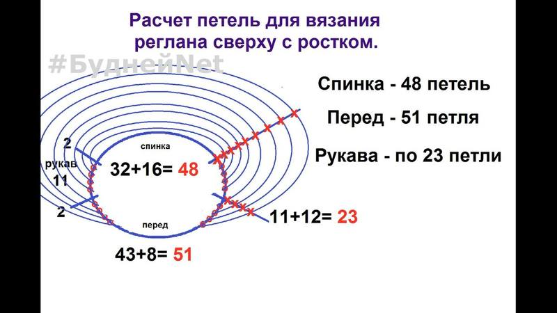 Реглан с ростком