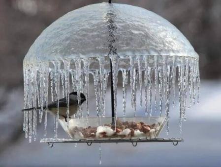 Tapтaлeтки & Ко