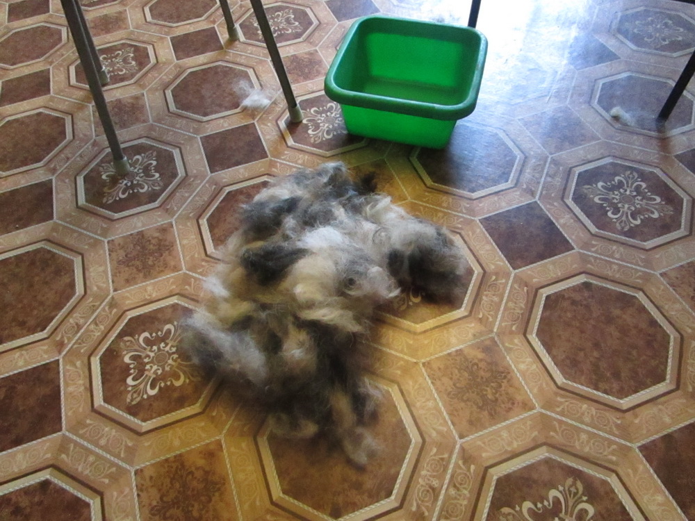 Тримминг 30 01 шерсть