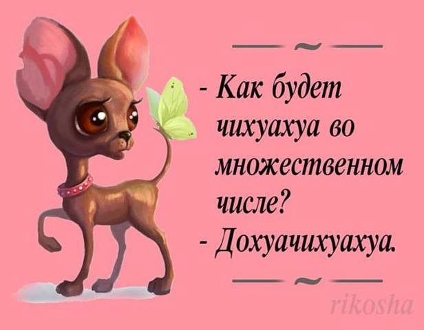 Посмеялся сам - поделись с другом!!!