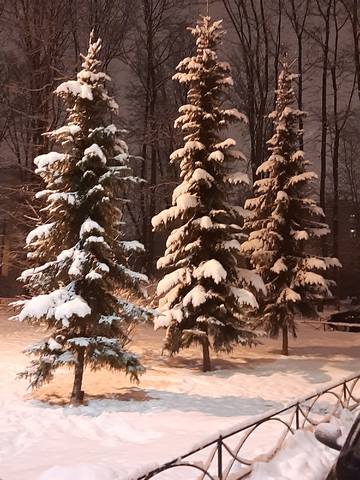 Кафе «У пани Сони»