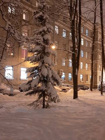 Кафе «У пани Сони»