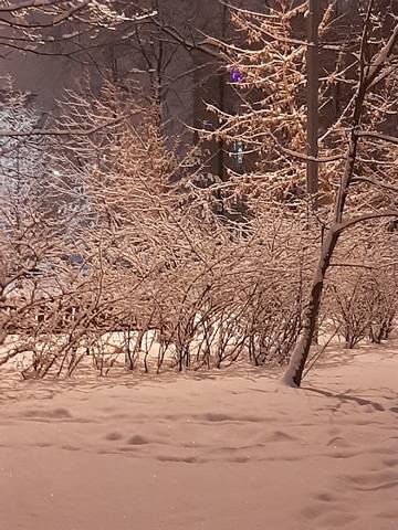 Кафе «У пани Сони»