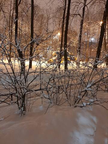 Кафе «У пани Сони»