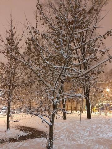 Кафе «У пани Сони»