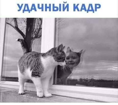 33226778_m.jpg