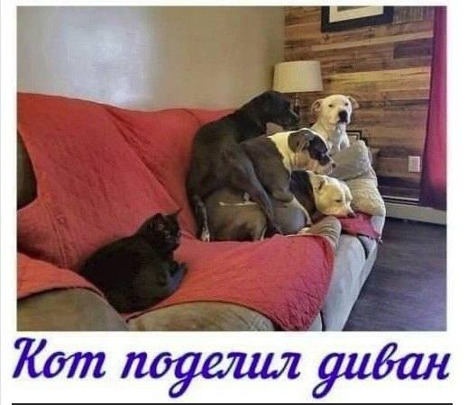 Посмеялся сам - поделись с другом!!!