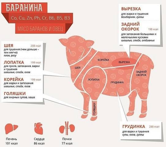 Кулинарная инфографика