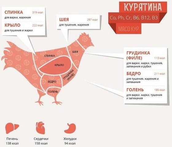 Кулинарная инфографика
