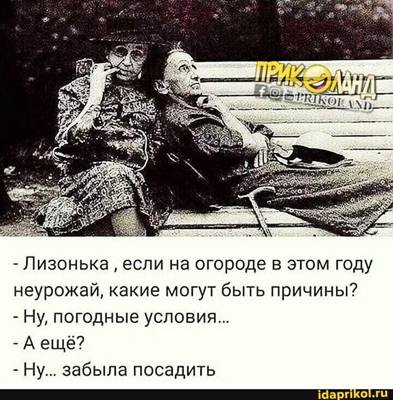 Посмеялся сам - поделись с другом!!!