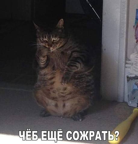 Посмеялся сам - поделись с другом!!!