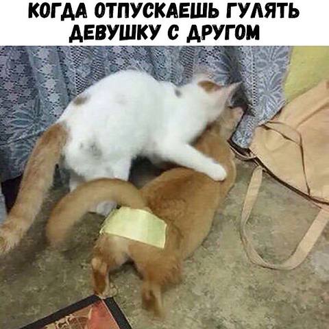 Посмеялся сам - поделись с другом!!!