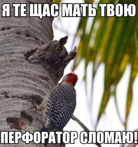 Посмеялся сам - поделись с другом!!!