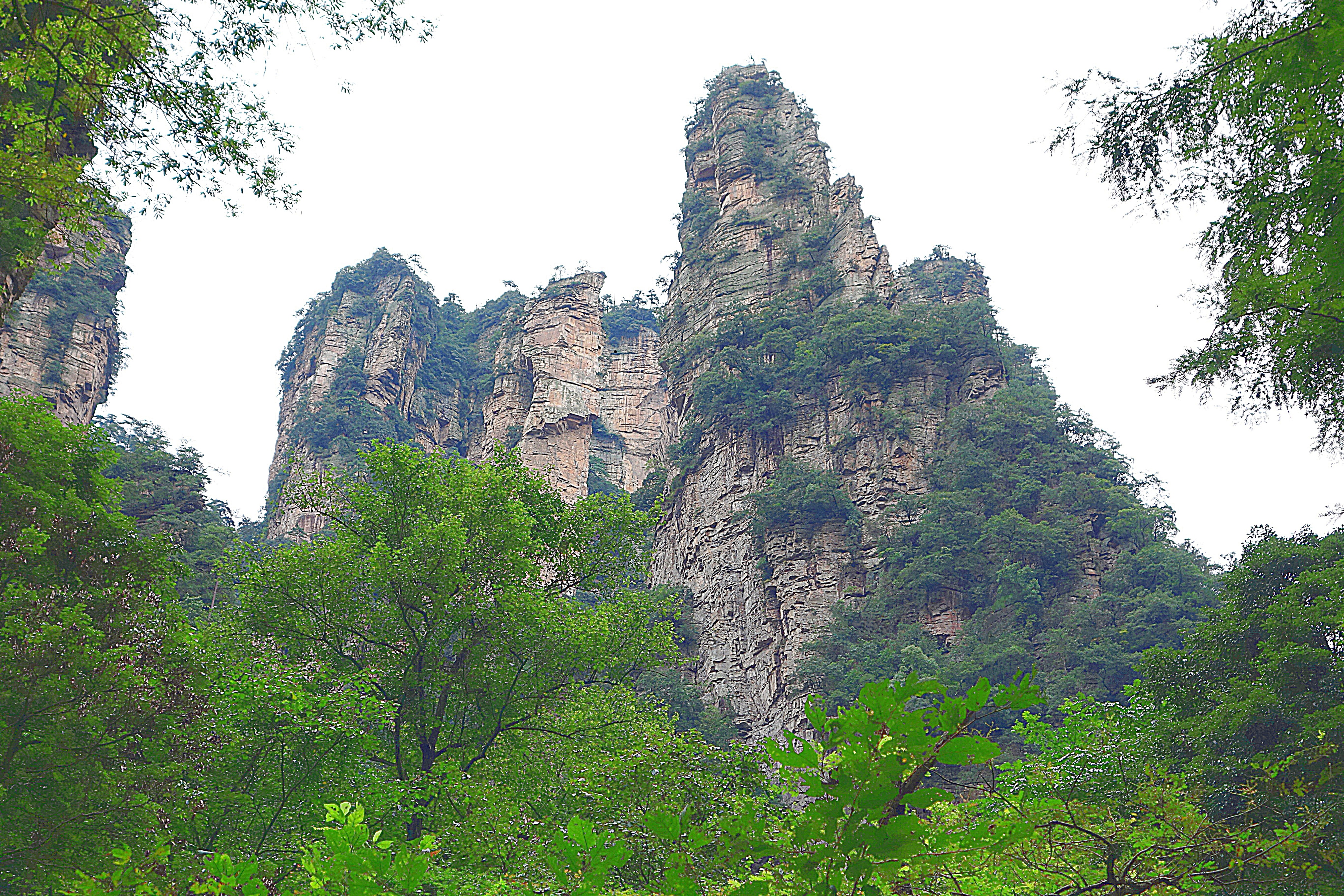 Скалы парка Чжанцзяцзе. Фото Морошкина В.В.