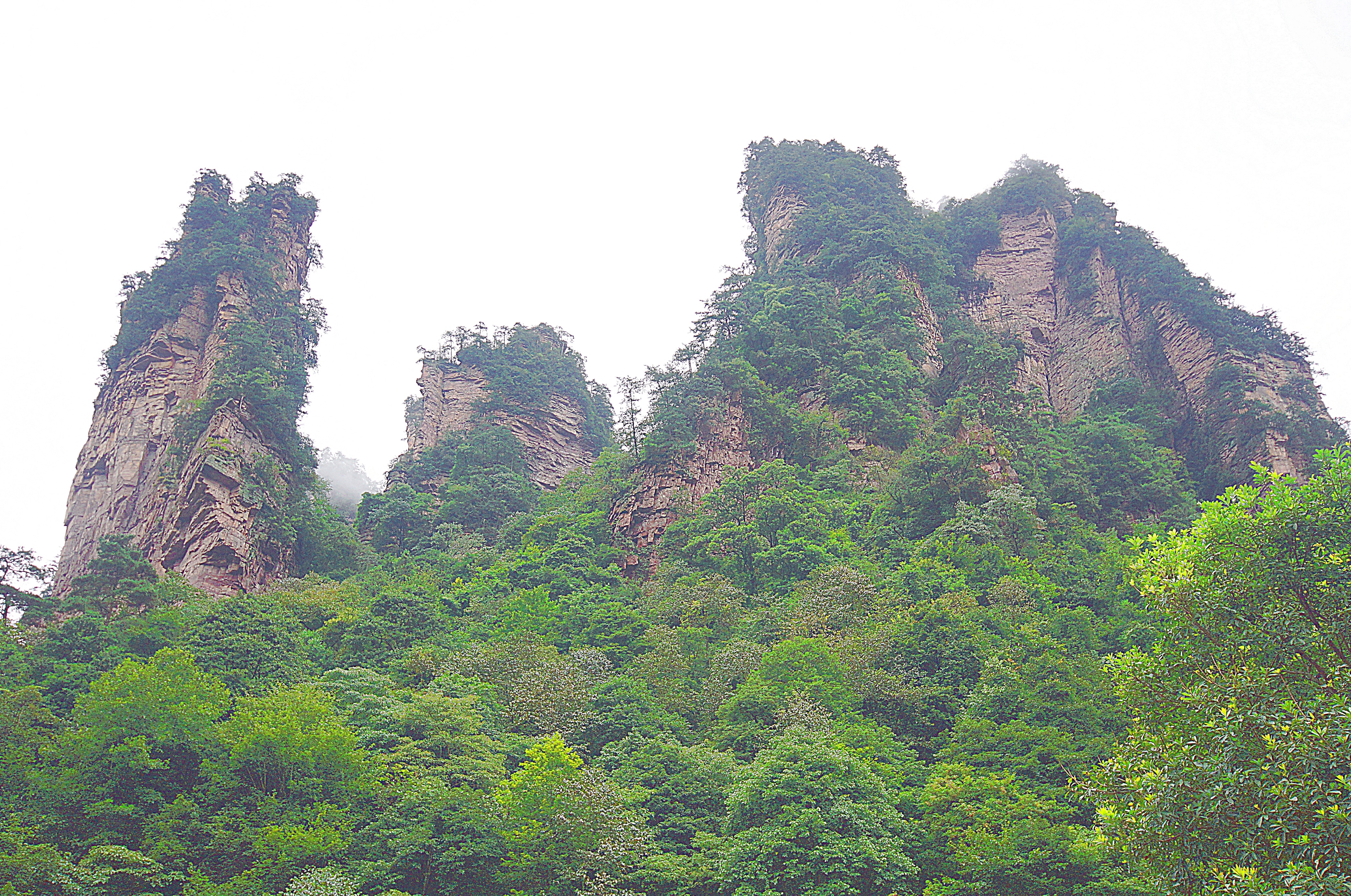 Скалы парка Чжанцзяцзе. Фото Морошкина В.В.