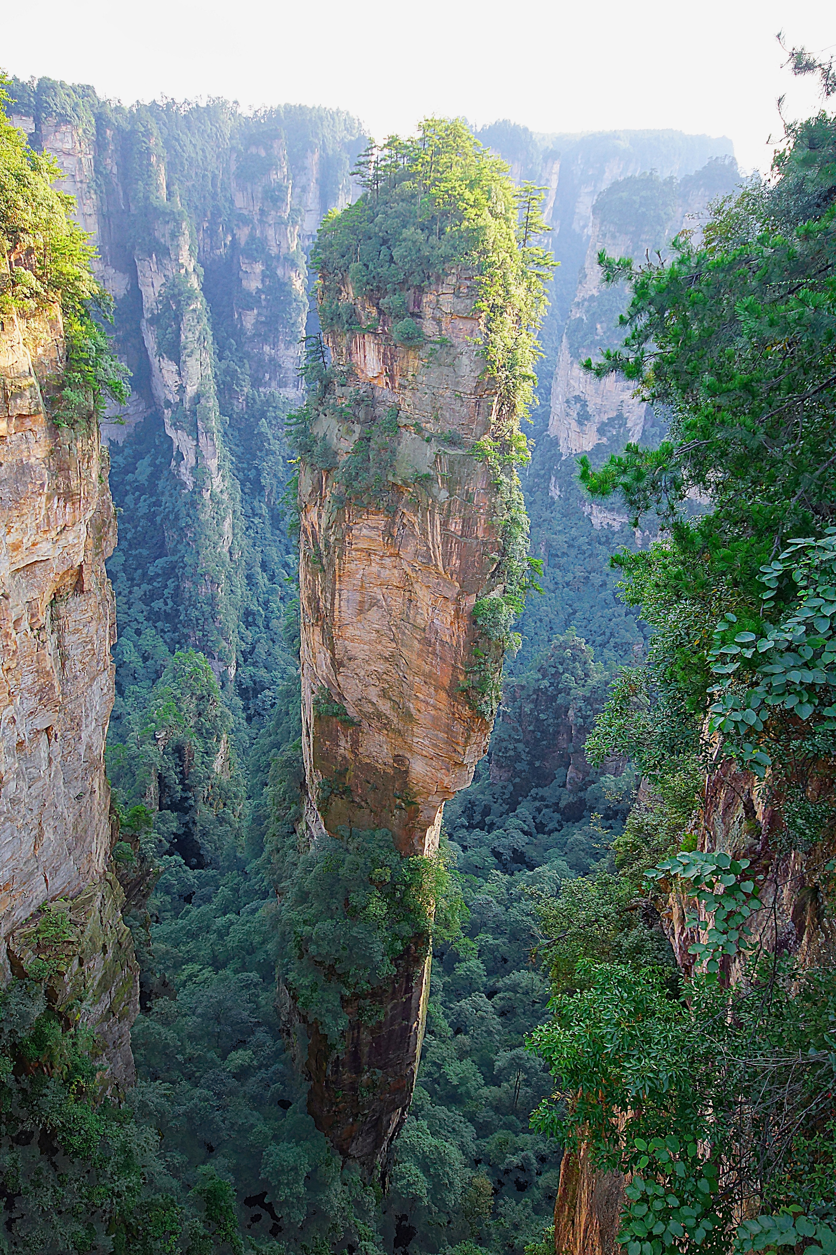 Скала Ю. Небесный Столб - самая известная в парке Чжанцзядзе. Фото Морошкина В.В.