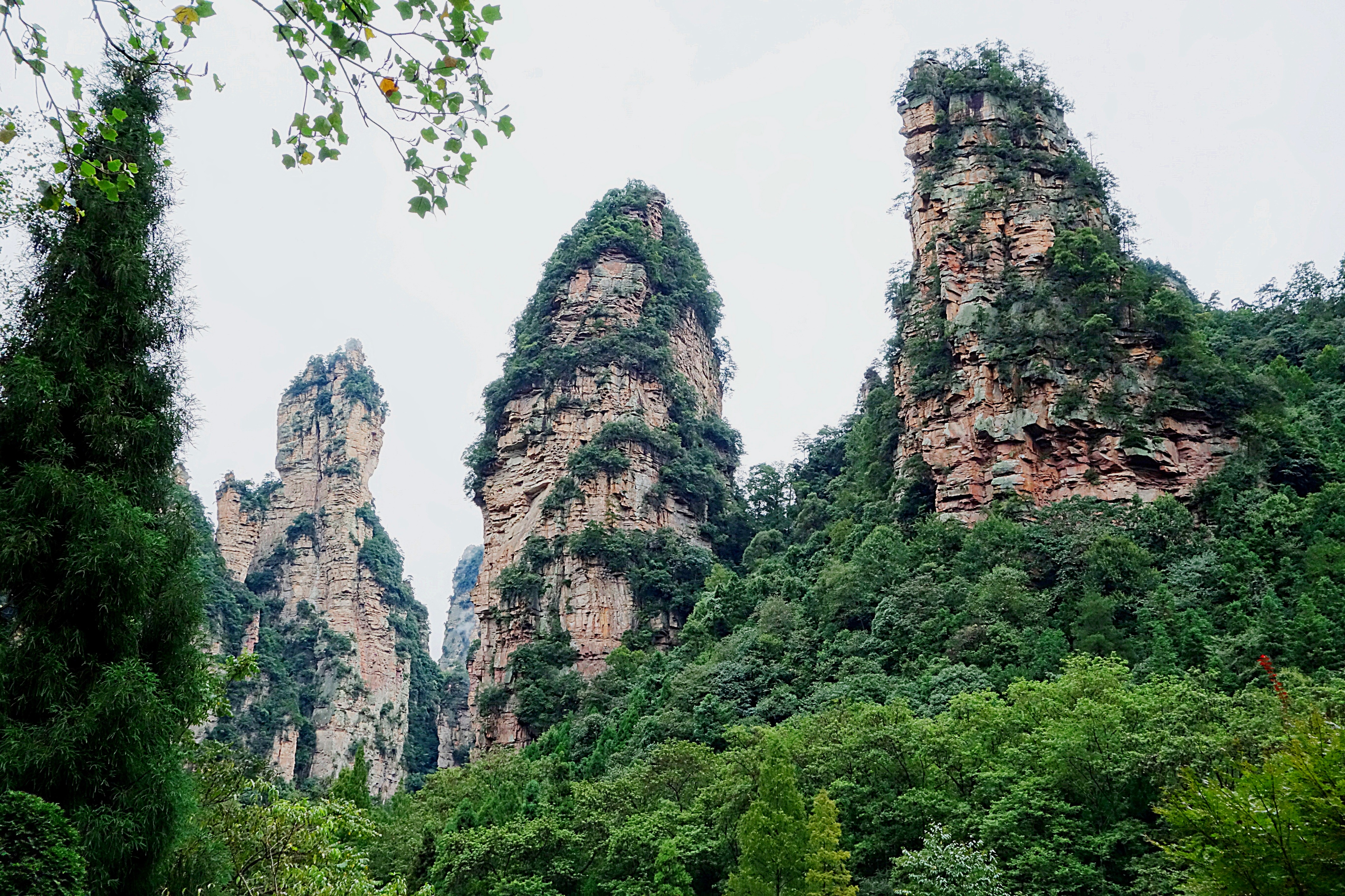 Уч-к Желтые Камни на краю национального парка Чжанцзядзе. Фото Морошкина В.В.