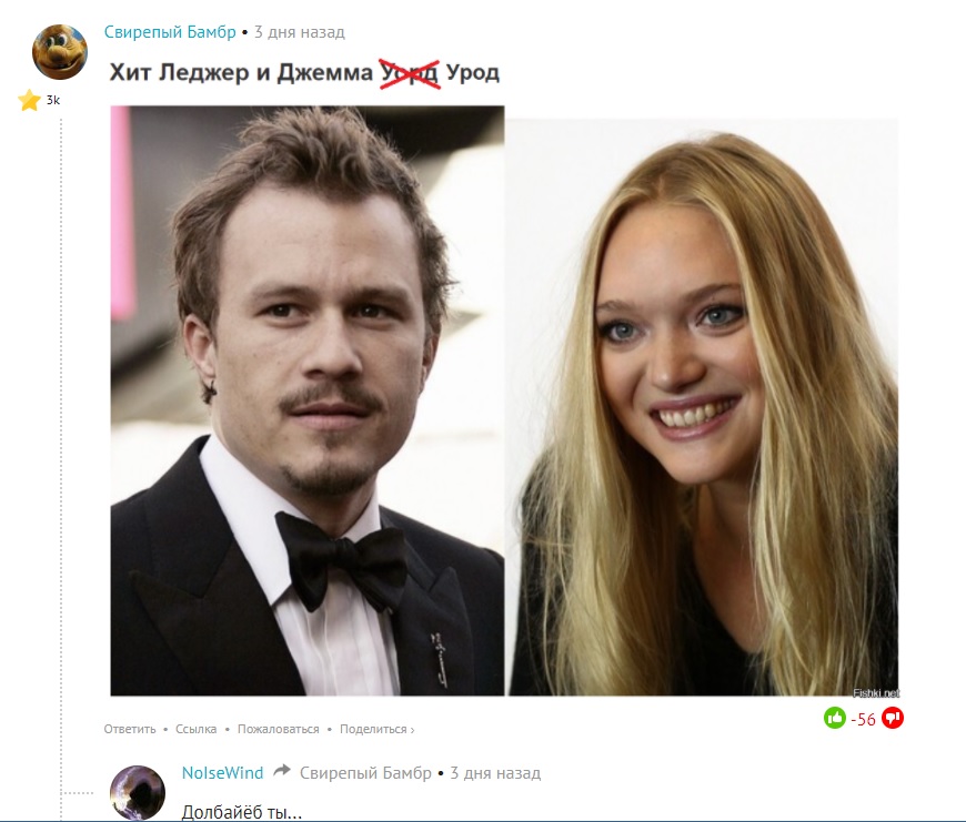 33246296.jpg