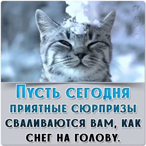 Tapтaлeтки & Ко