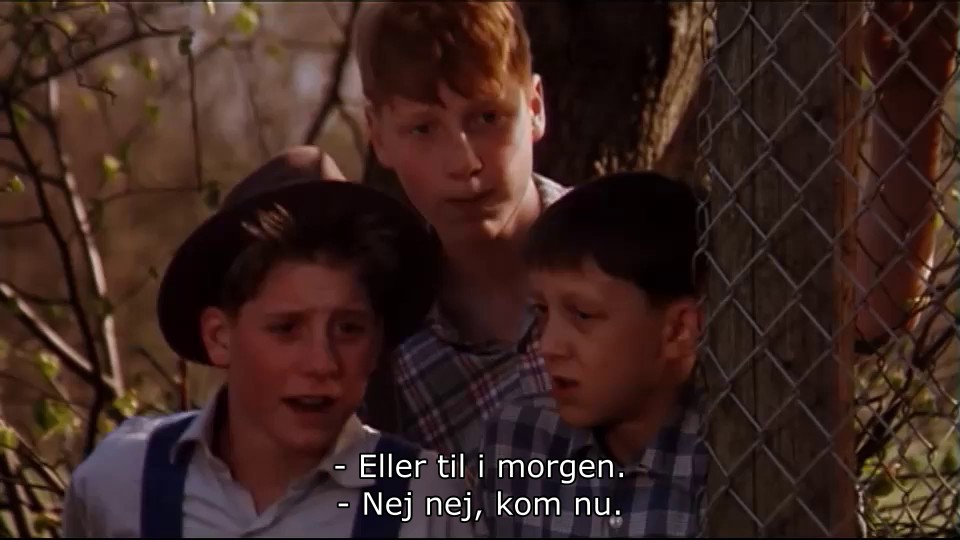 Vildbassen.1994.DK.Subs.720p.WEB.DL.H.264-Musen528