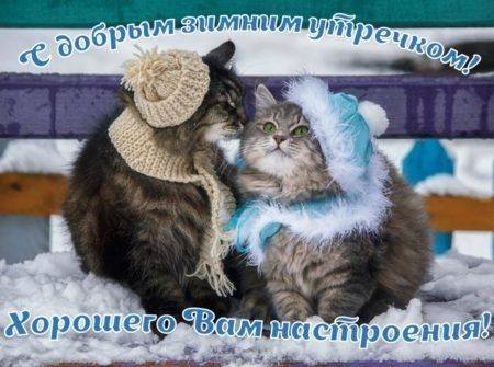 Tapтaлeтки & Ко