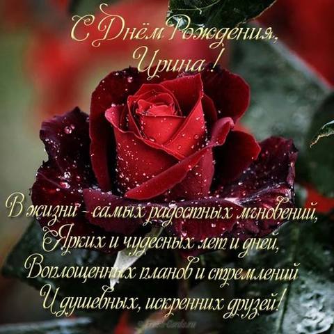 Tapтaлeтки & Ко