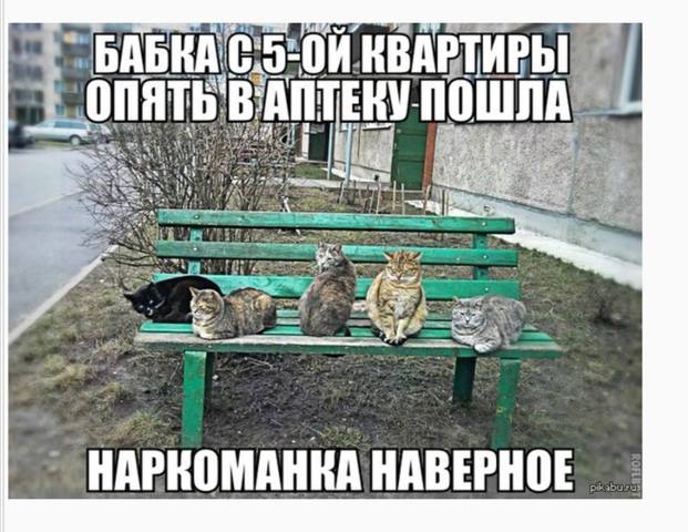 Посмеялся сам - поделись с другом!!!