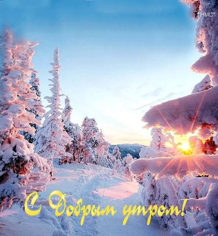 Tapтaлeтки & Ко