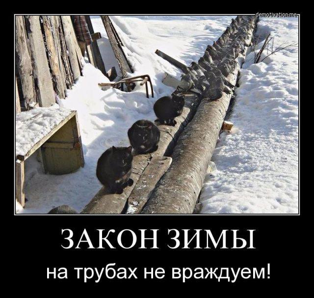 Юмор Юмор
