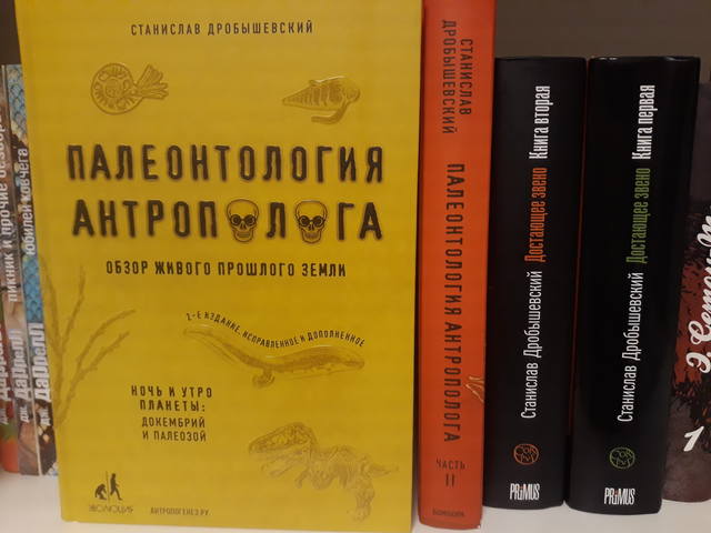 станислав дробышевский станислав дробышевский