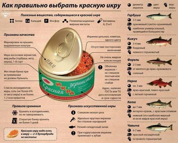 Кулинарная инфографика