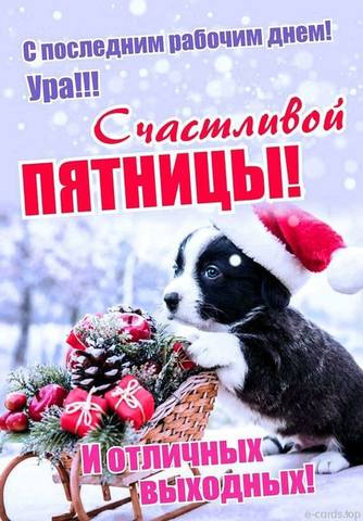 Tapтaлeтки & Ко