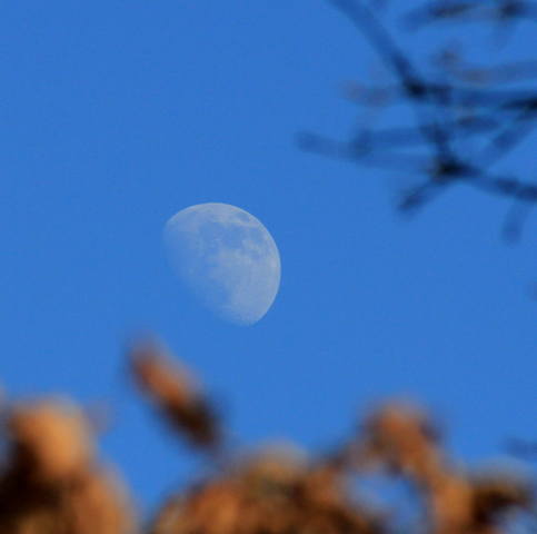 дневная луна 2