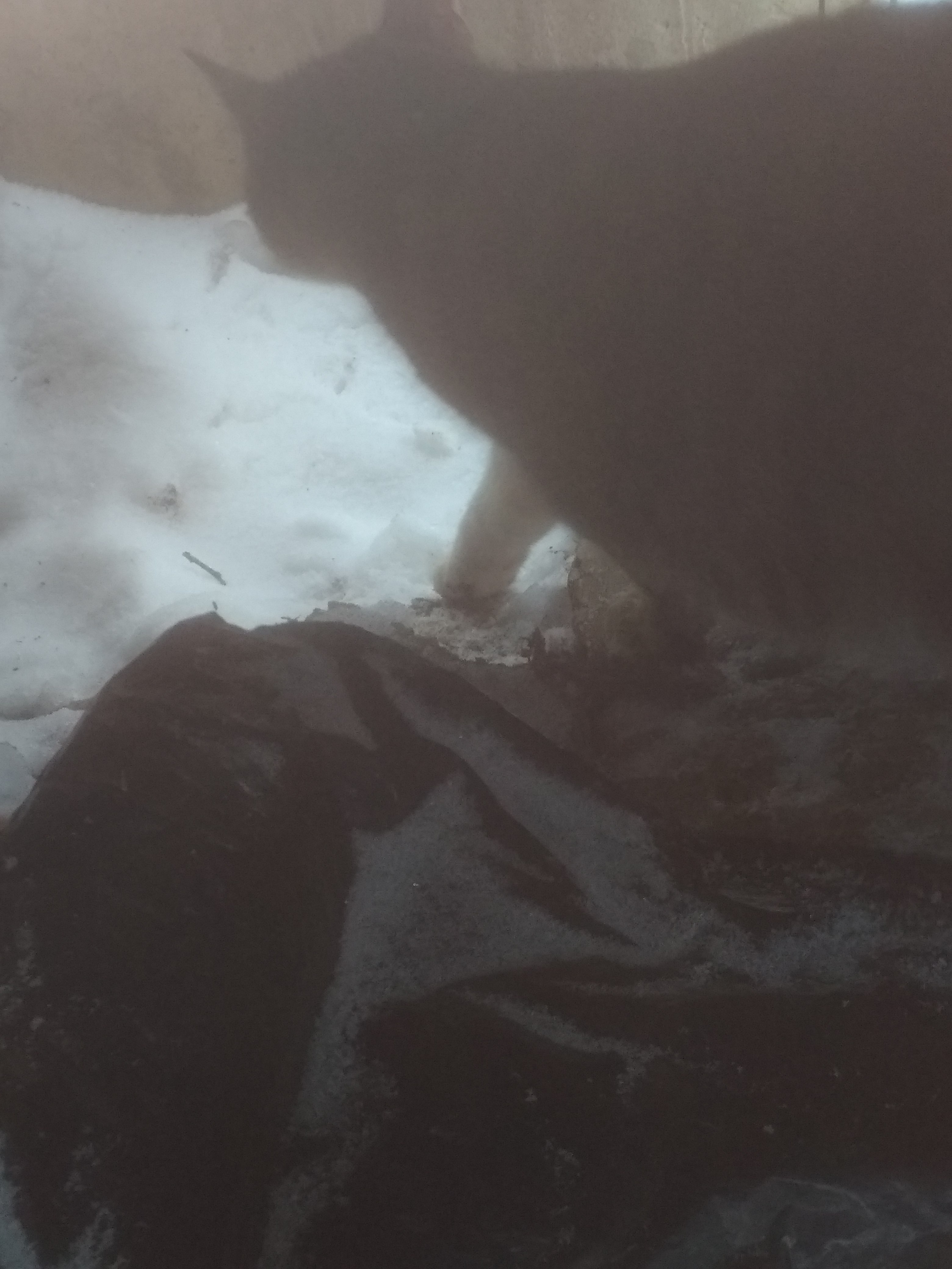 фото 28.02.2021 018