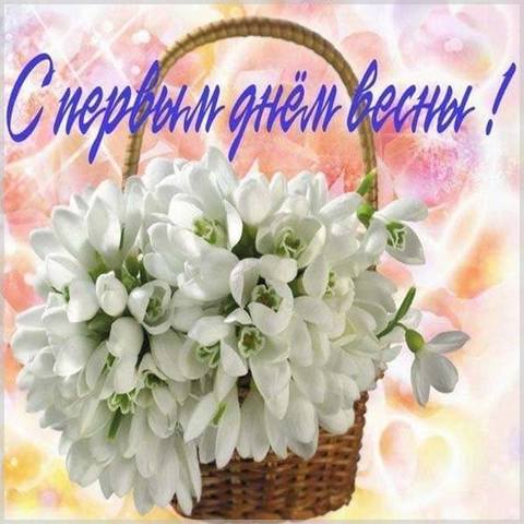 Tapтaлeтки & Ко