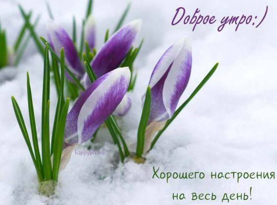 Tapтaлeтки & Ко