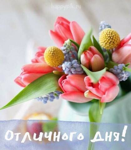 Tapтaлeтки & Ко