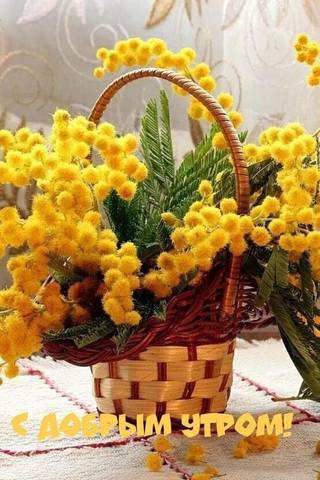 Tapтaлeтки & Ко