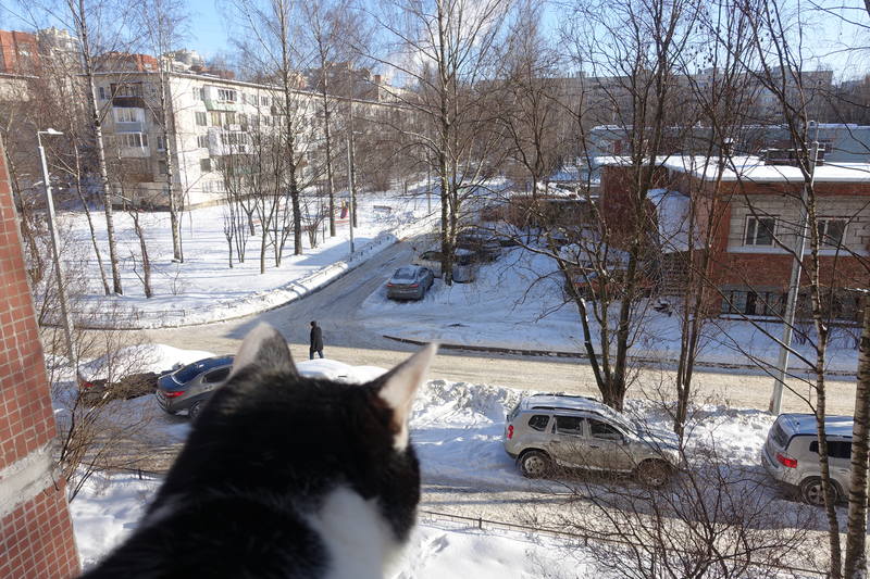 Масленица Масленица