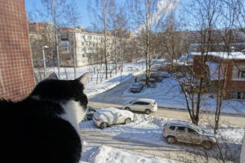Масленица Масленица